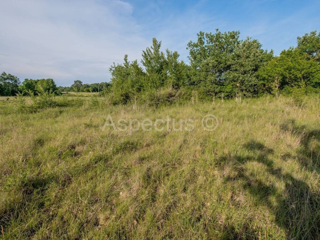 Zemljište - ostalo, Prodaja, Vrsar, Vrsar