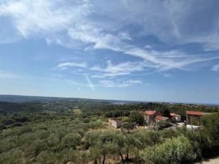 Vila, Prodaja, Buje, Krasica