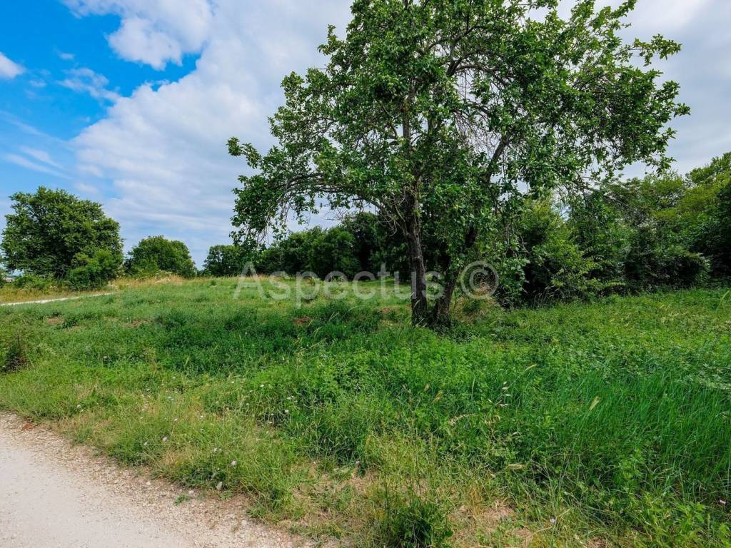 Građevinsko zemljište, Prodaja, Pula, Pula