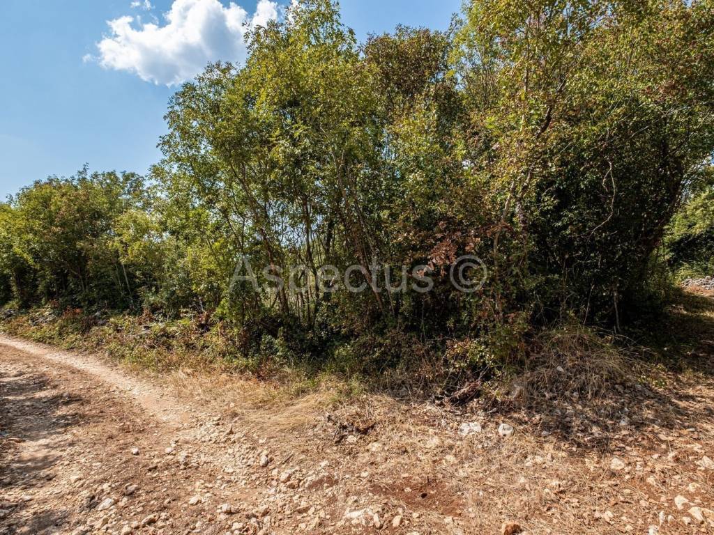 Građevinsko zemljište, Prodaja, Marčana, Marčana