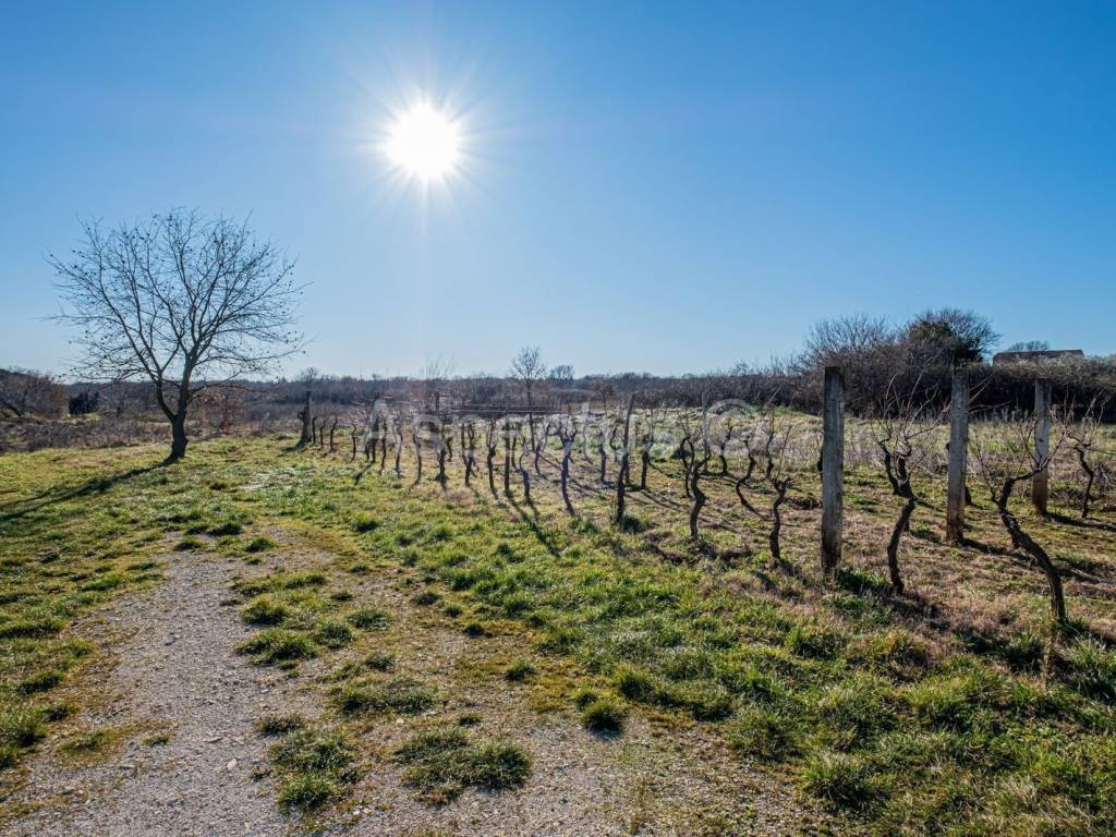 Građevinsko stambeno zemljište, Prodaja, Marčana, Marčana
