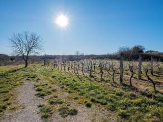 Građevinsko stambeno zemljište, Prodaja, Marčana, Marčana