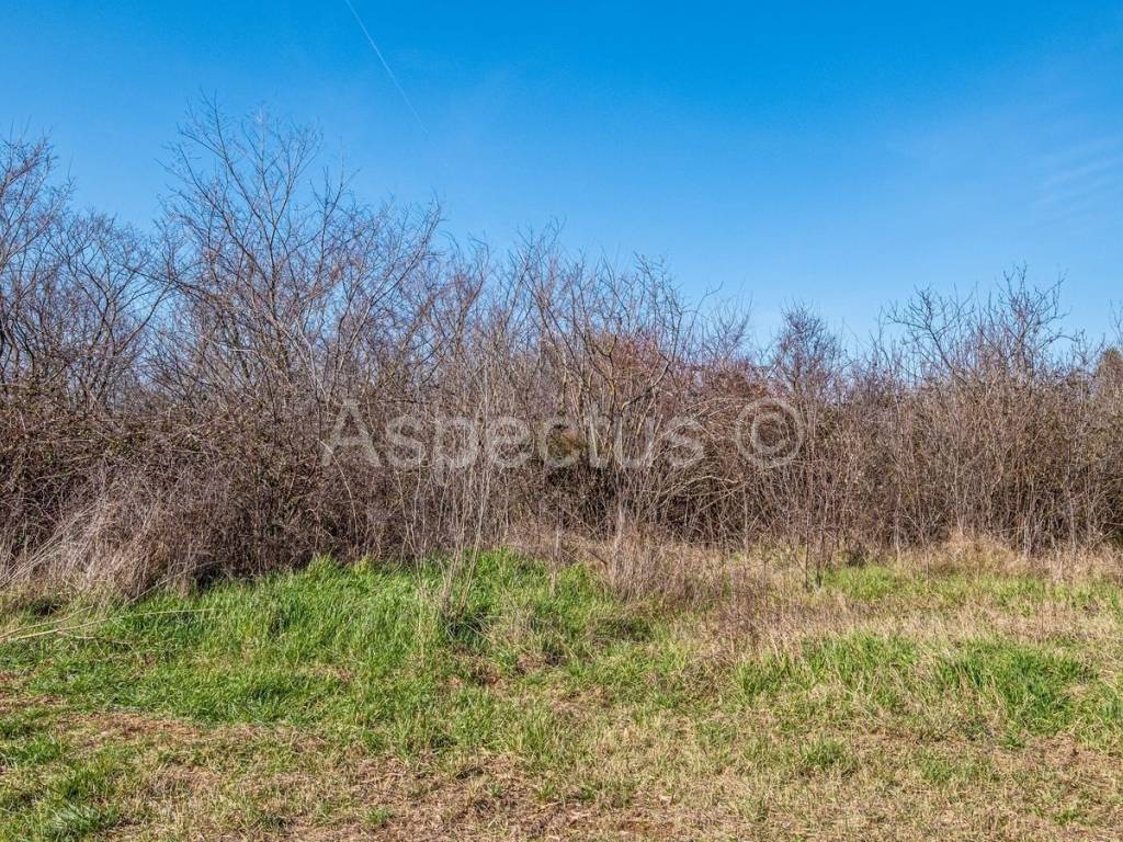 Građevinsko zemljište, Prodaja, Bale, Bale