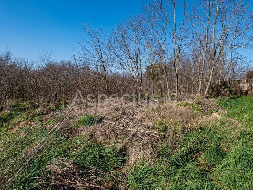 Građevinsko zemljište, Prodaja, Bale, Bale