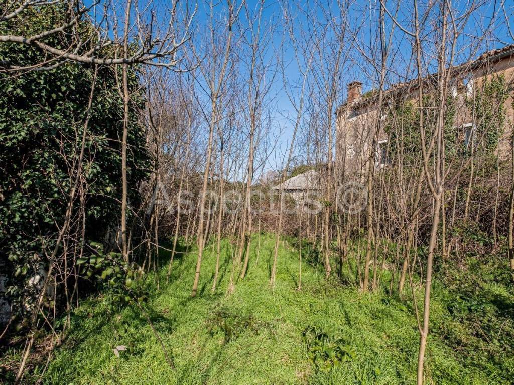 Građevinsko zemljište, Prodaja, Bale, Bale