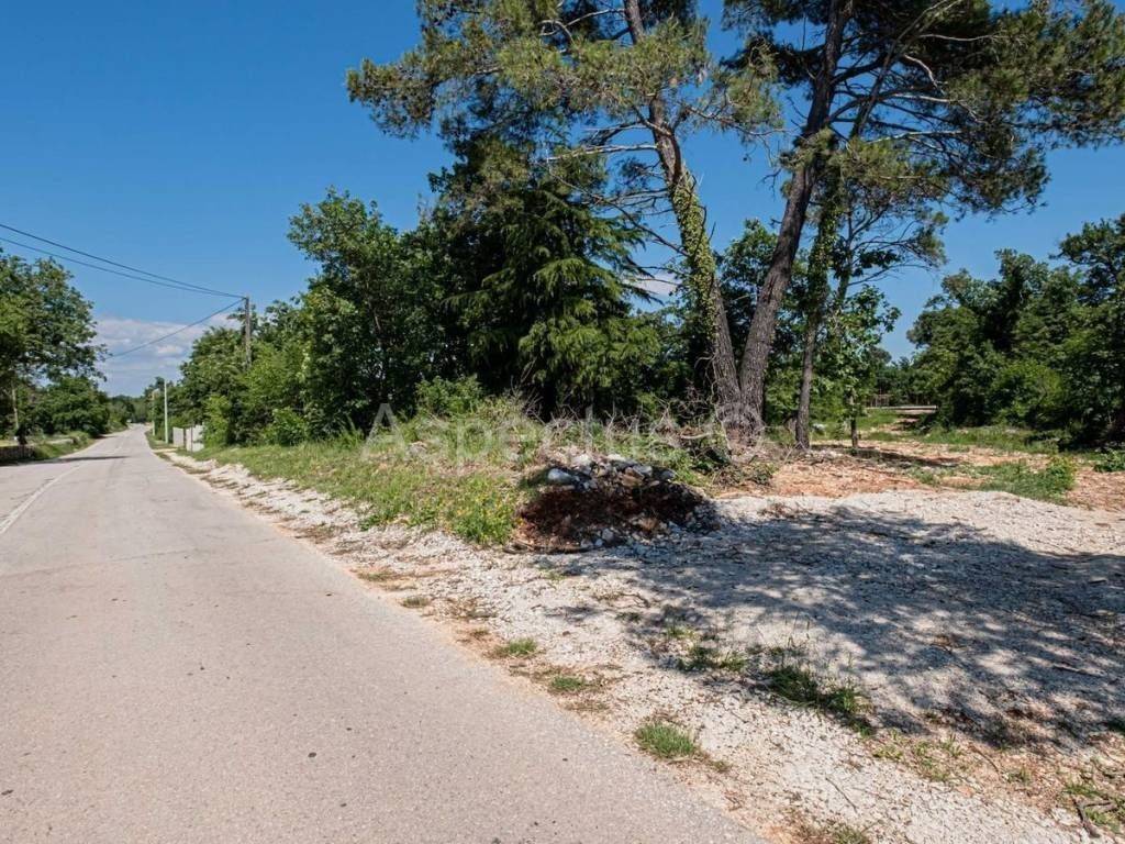 Gradevinsko zemljište, Prodaja, Marcana, Divšici