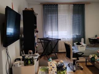 Šenkovec, Šenkovec