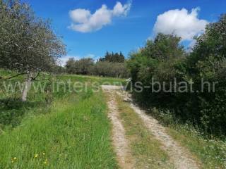 Poljoprivredno zemljište, Prodaja, Skradin, Dubravice