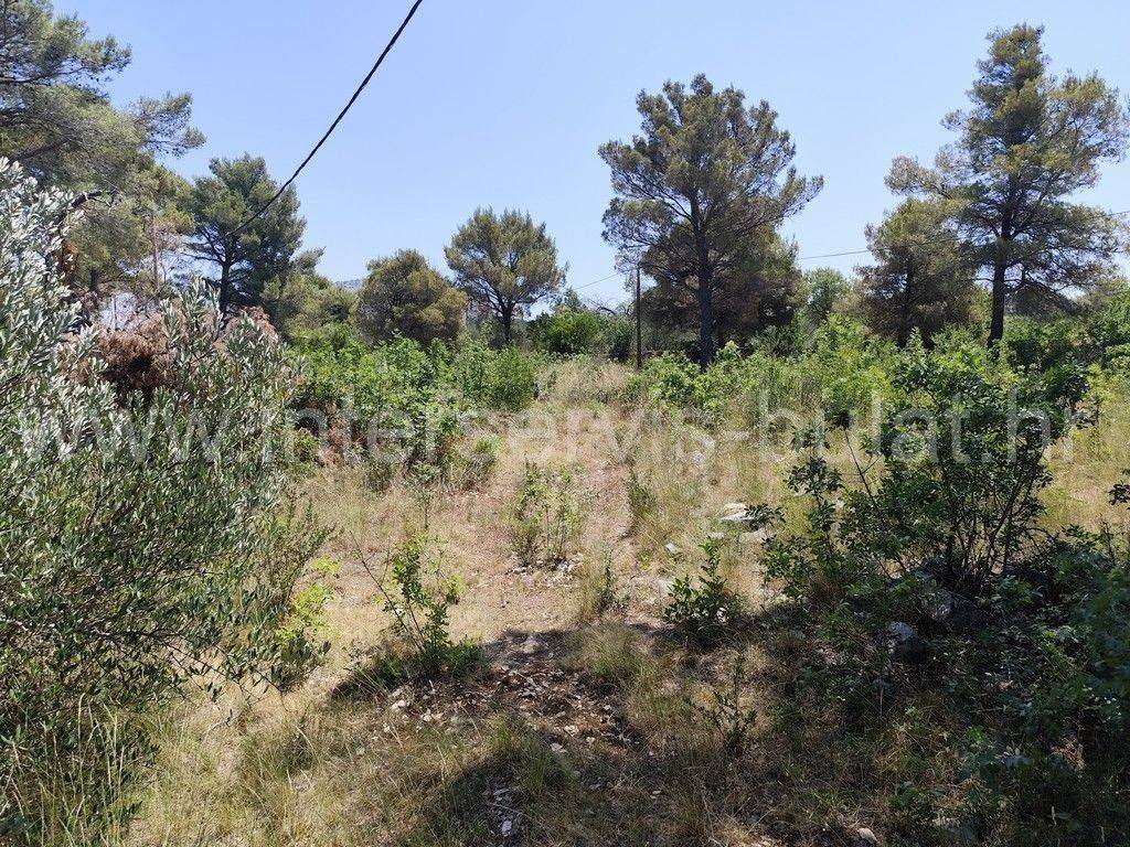 Građevinsko zemljište, Prodaja, Šibenik - Okolica, Bilice