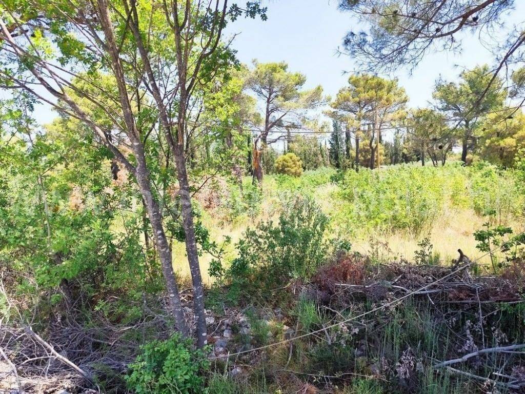 Građevinsko zemljište, Prodaja, Šibenik - Okolica, Bilice