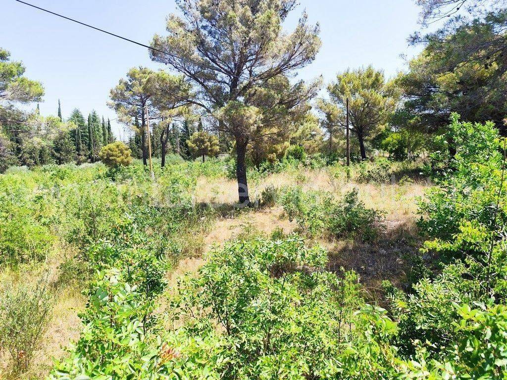 Građevinsko zemljište, Prodaja, Šibenik - Okolica, Bilice