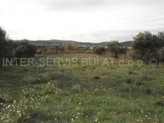 Poljoprivredno, Prodaja, Šibenik - Okolica, Donje Polje