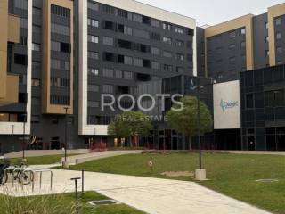 Zagreb, Pescenica - Zitnjak