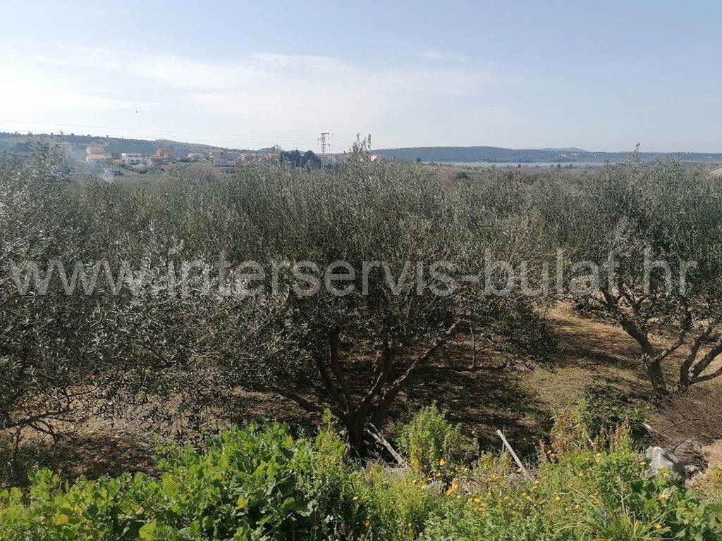 Poljoprivredno zemljište, Prodaja, Šibenik - Okolica, Donje Polje