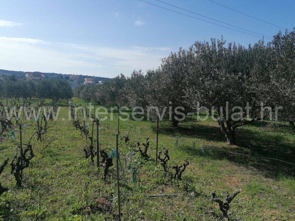 Poljoprivredno zemljište, Prodaja, Šibenik - Okolica, Donje Polje