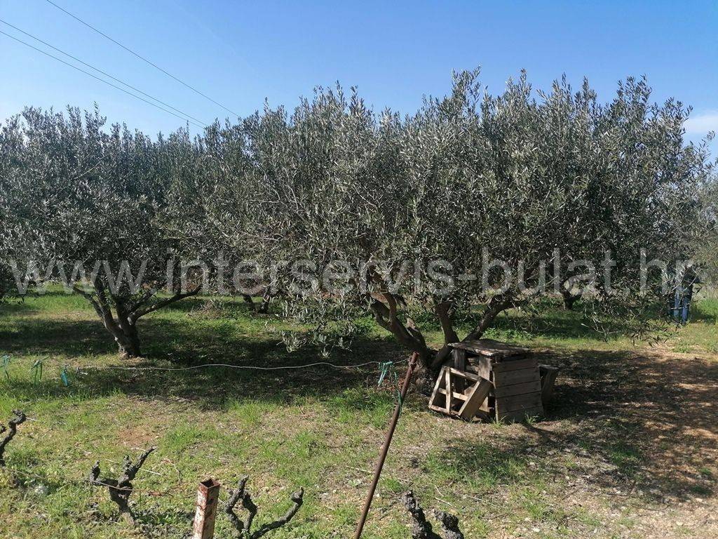 Poljoprivredno zemljište, Prodaja, Šibenik - Okolica, Donje Polje