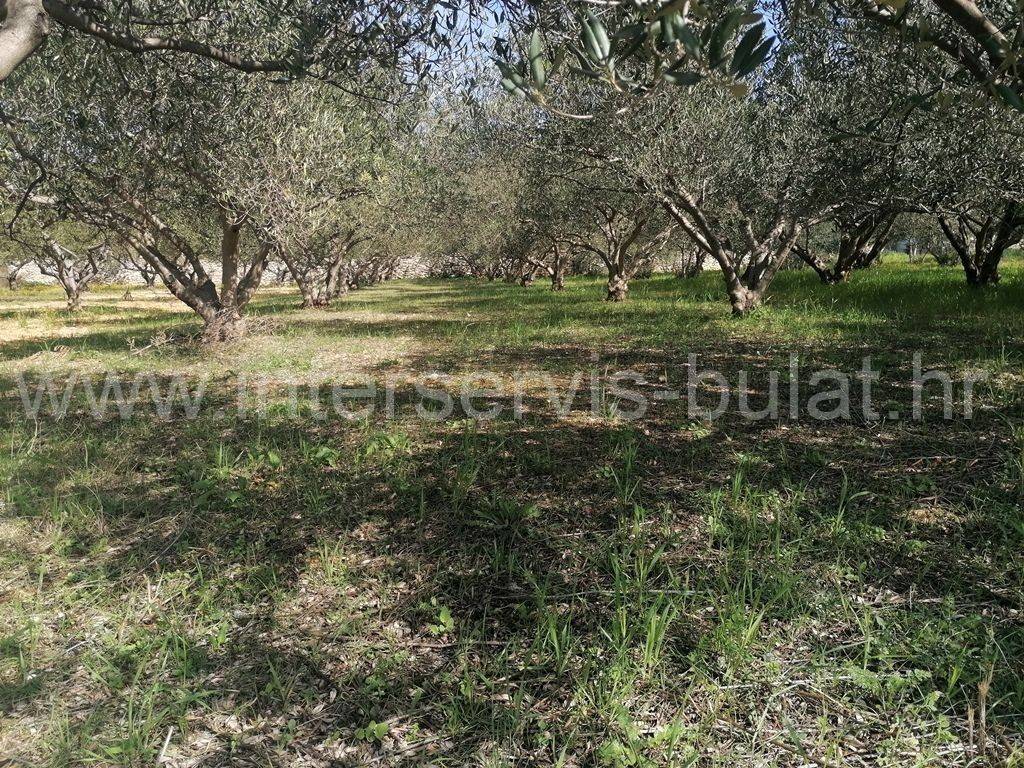 Poljoprivredno zemljište, Prodaja, Šibenik - Okolica, Donje Polje