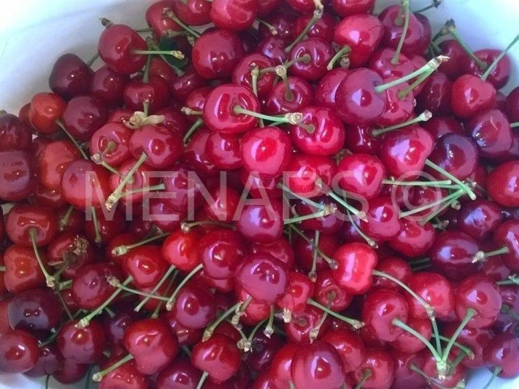 Kuća za odmor, Prodaja, Varaždinske toplice, Martinkovec