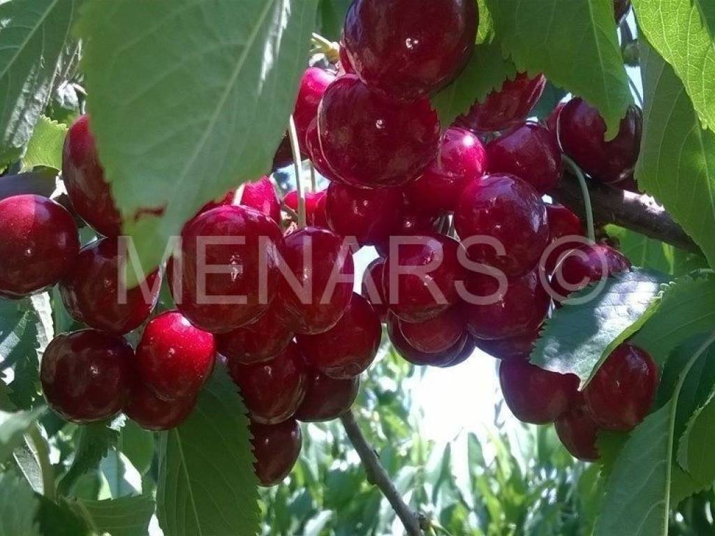 Kuća za odmor, Prodaja, Varaždinske toplice, Martinkovec