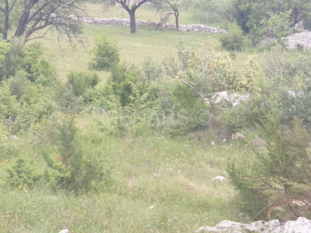 Građevinsko zemljište, Prodaja, Nerežišća, Dračevica