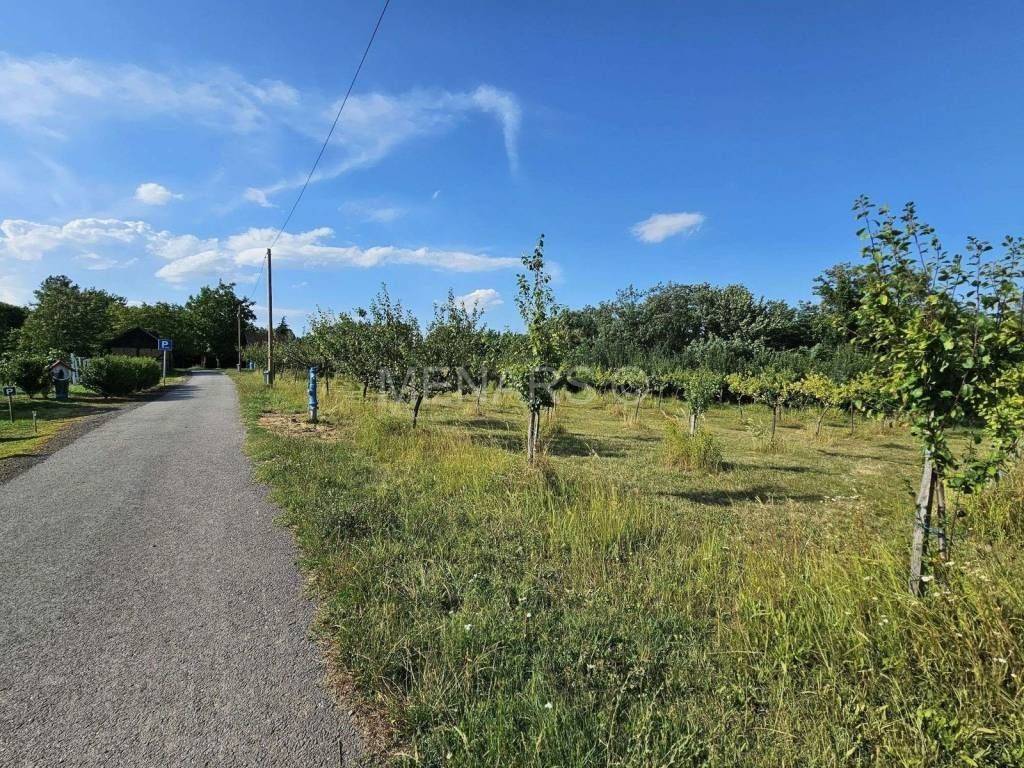 Građevinsko zemljište, Prodaja, Ludbreg, Segovina