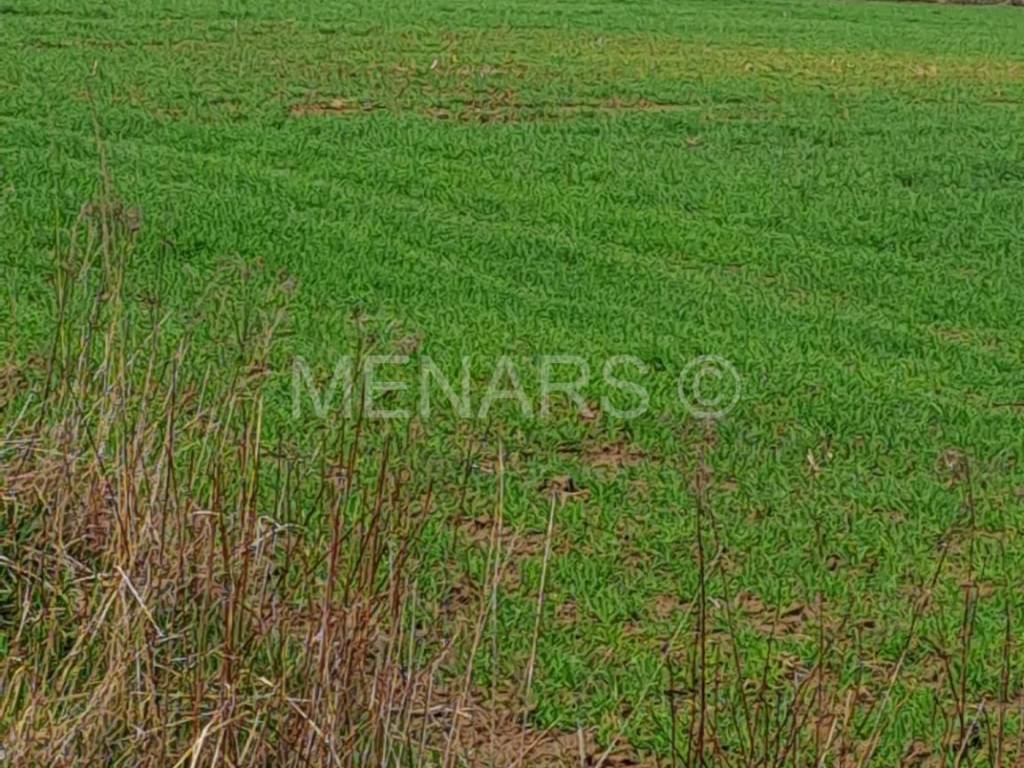 Građevinsko zemljište, Prodaja, Jalžabet, Jakopovec