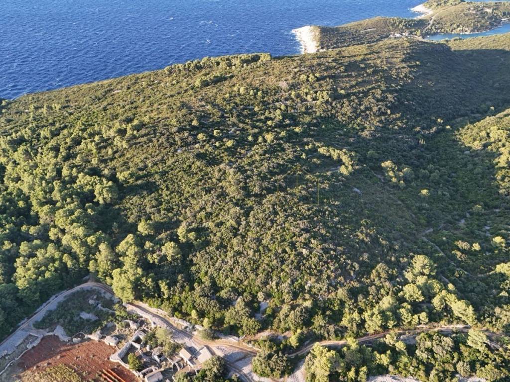 Poljoprivredno zemljište, Prodaja, Vis, Vis