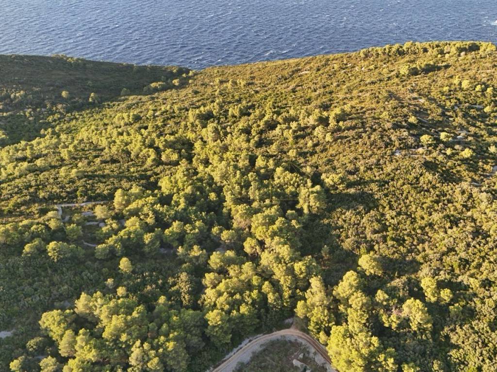 Poljoprivredno zemljište, Prodaja, Vis, Vis