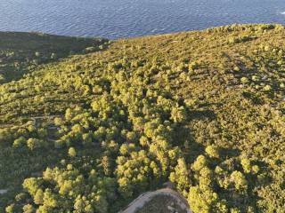 Poljoprivredno zemljište, Prodaja, Vis, Vis