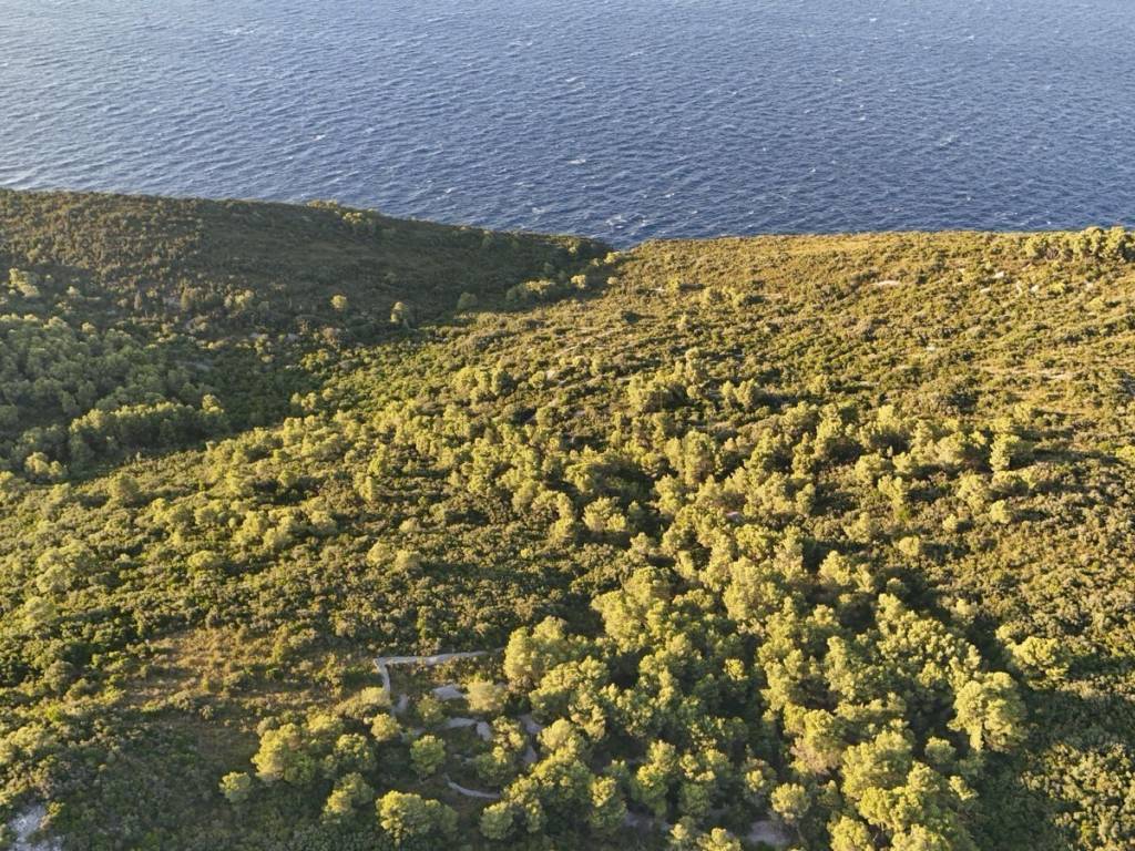 Poljoprivredno zemljište, Prodaja, Vis, Vis