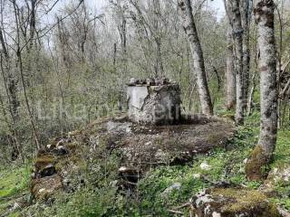 Obiteljsko gospodarstvo, Prodaja, Udbina, Komić