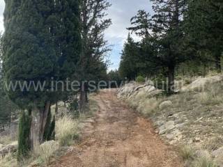 Poljoprivredno zemljište, Prodaja, Drniš, Drniš