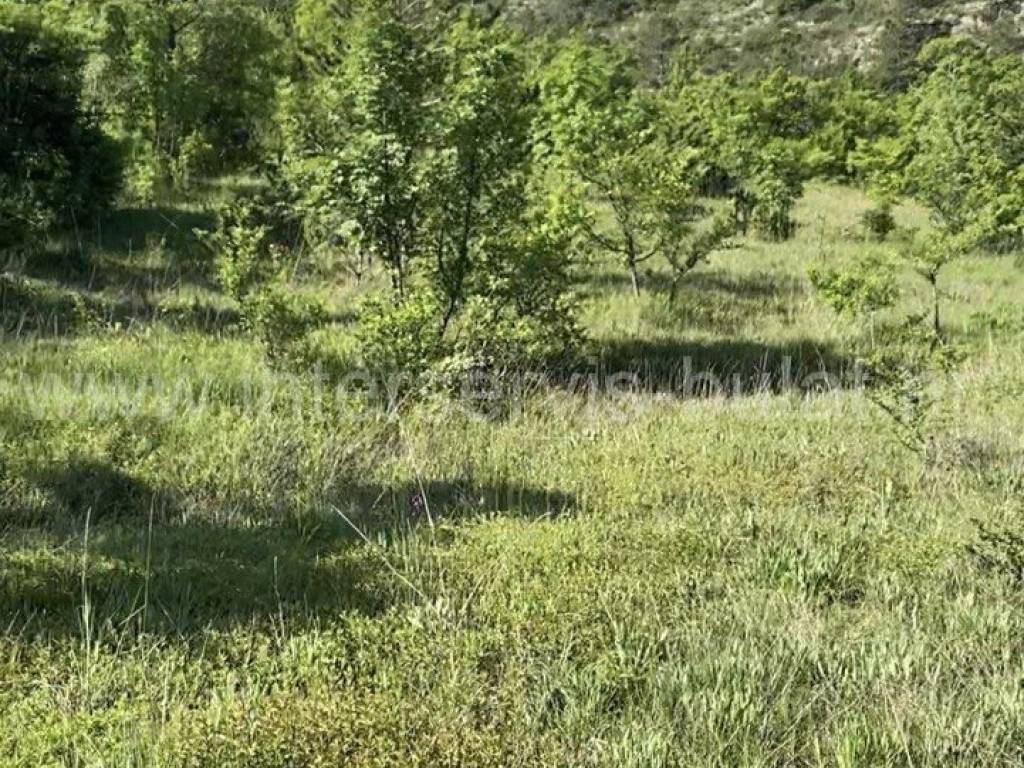 Poljoprivredno zemljište, Prodaja, Drniš, Drniš