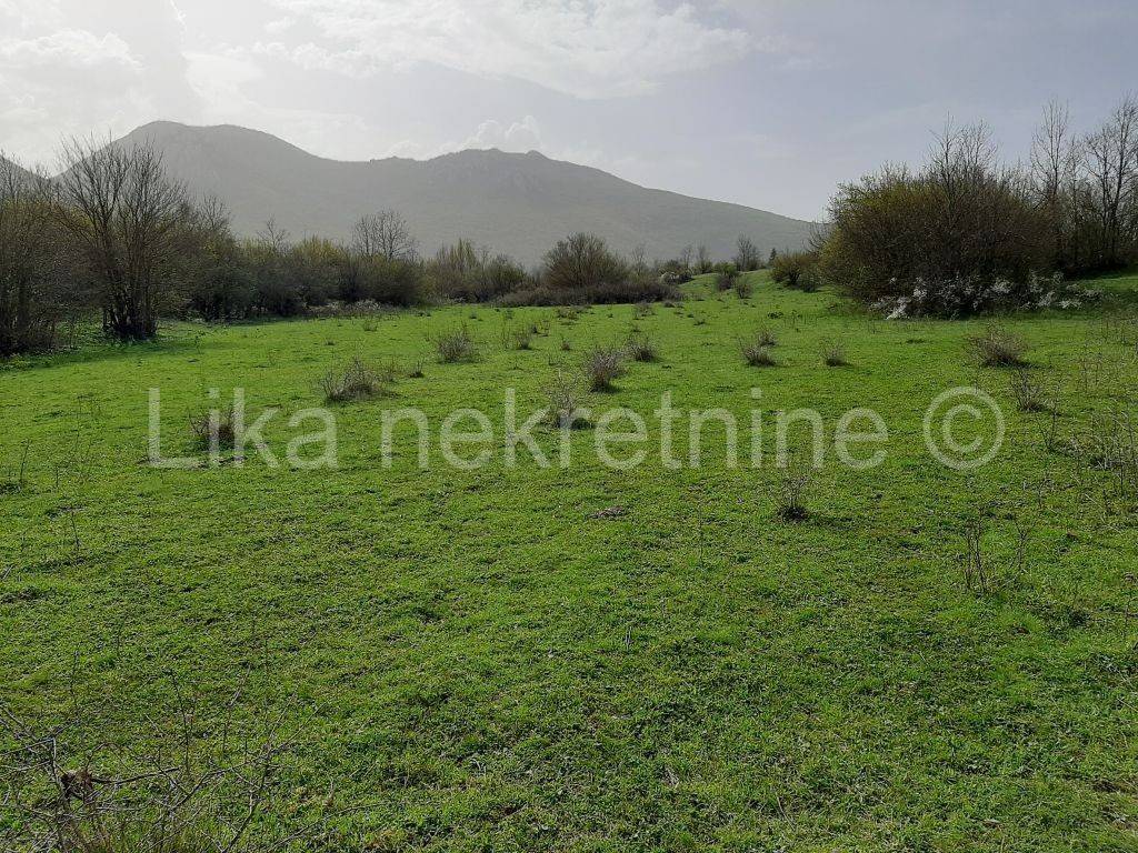 Obiteljsko gospodarstvo, Prodaja, Udbina, Komić