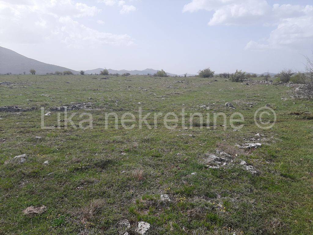 Obiteljsko gospodarstvo, Prodaja, Udbina, Komić