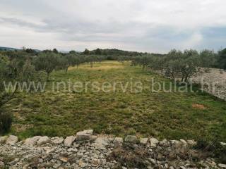 Poljoprivredno zemljište, Prodaja, Šibenik - Okolica, Jadrija