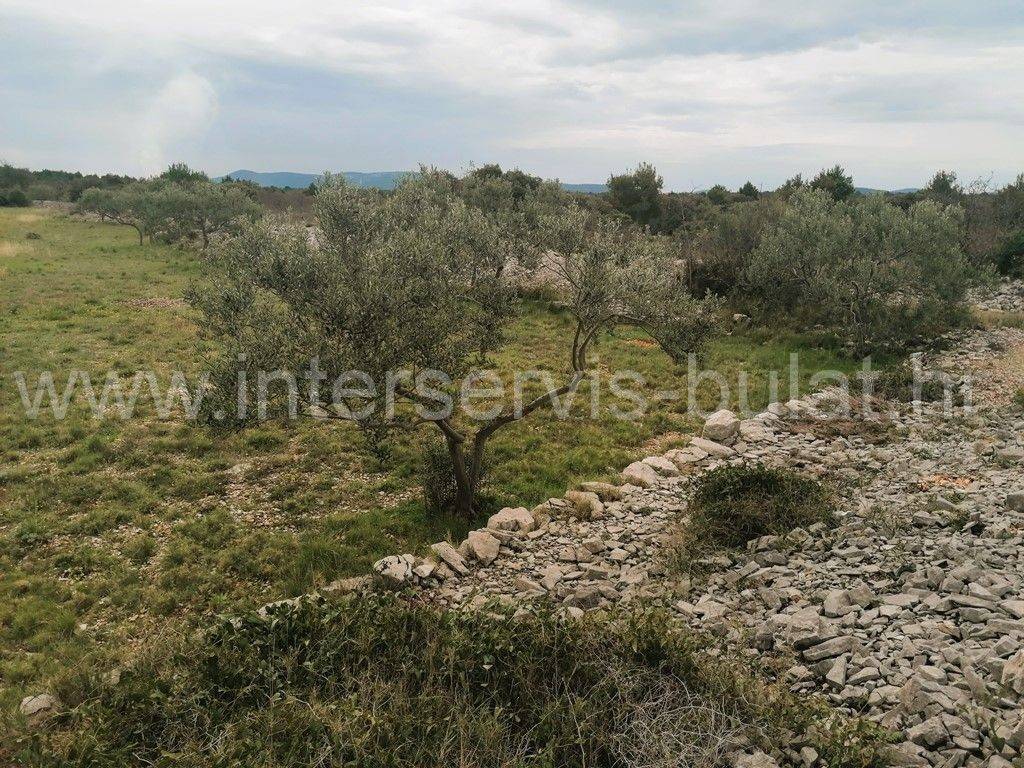 Poljoprivredno zemljište, Prodaja, Šibenik - Okolica, Jadrija