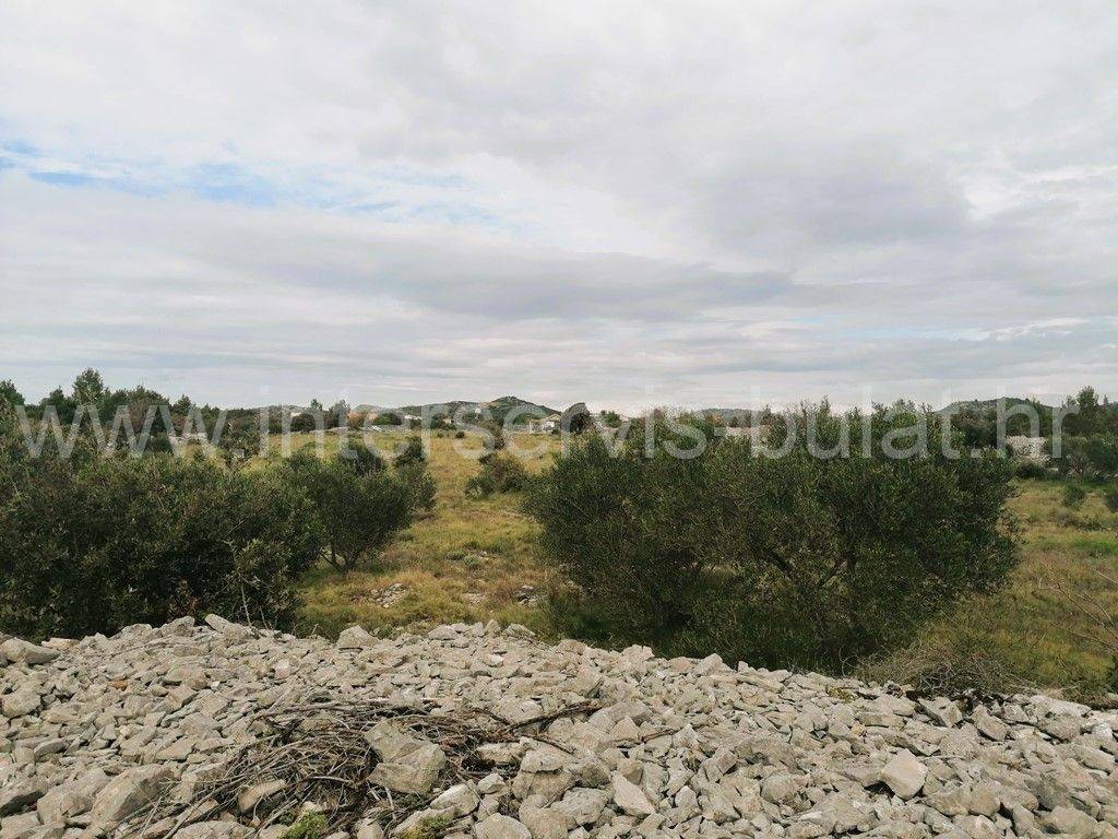 Poljoprivredno zemljište, Prodaja, Šibenik - Okolica, Jadrija