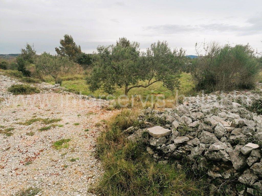 Poljoprivredno zemljište, Prodaja, Šibenik - Okolica, Jadrija