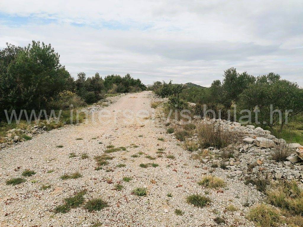 Poljoprivredno zemljište, Prodaja, Šibenik - Okolica, Jadrija