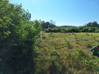 Poljoprivredno zemljište, Prodaja, Poličnik, Briševo