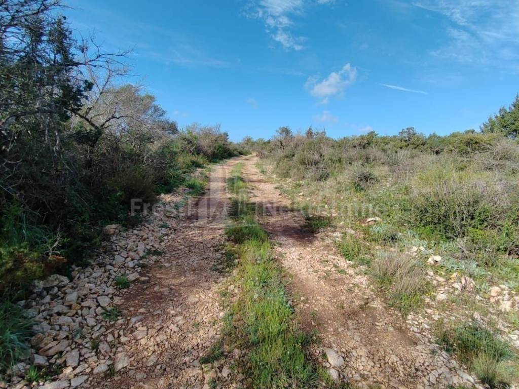 Poljoprivredno zemljište, Prodaja, Poličnik, Briševo
