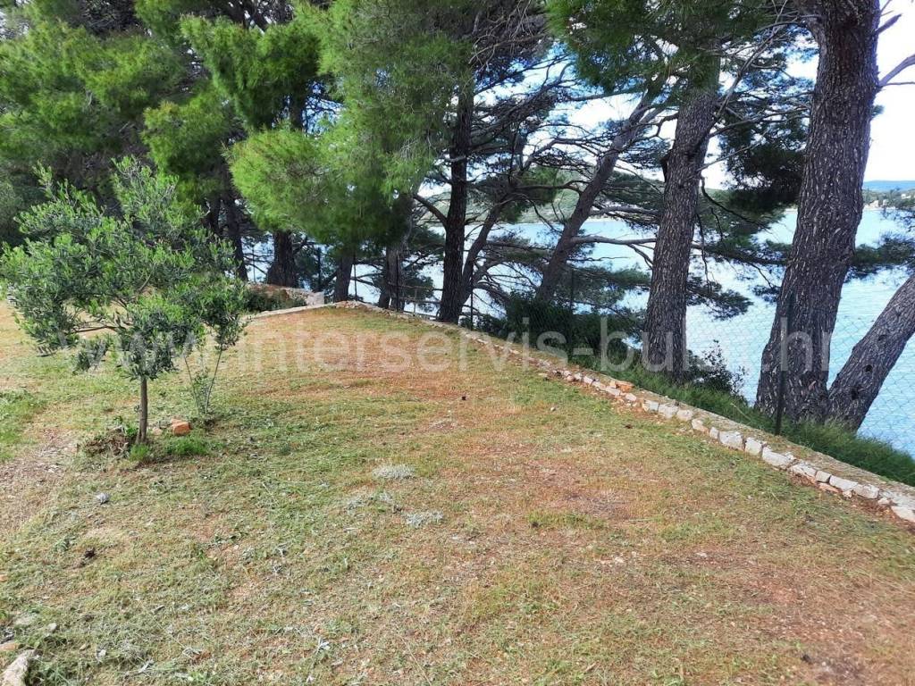 Poljoprivredno zemljište, Prodaja, Tisno, Betina