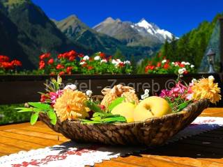 Apartmanska kuća, Prodaja, Zagreb - Okolica, Brezovica