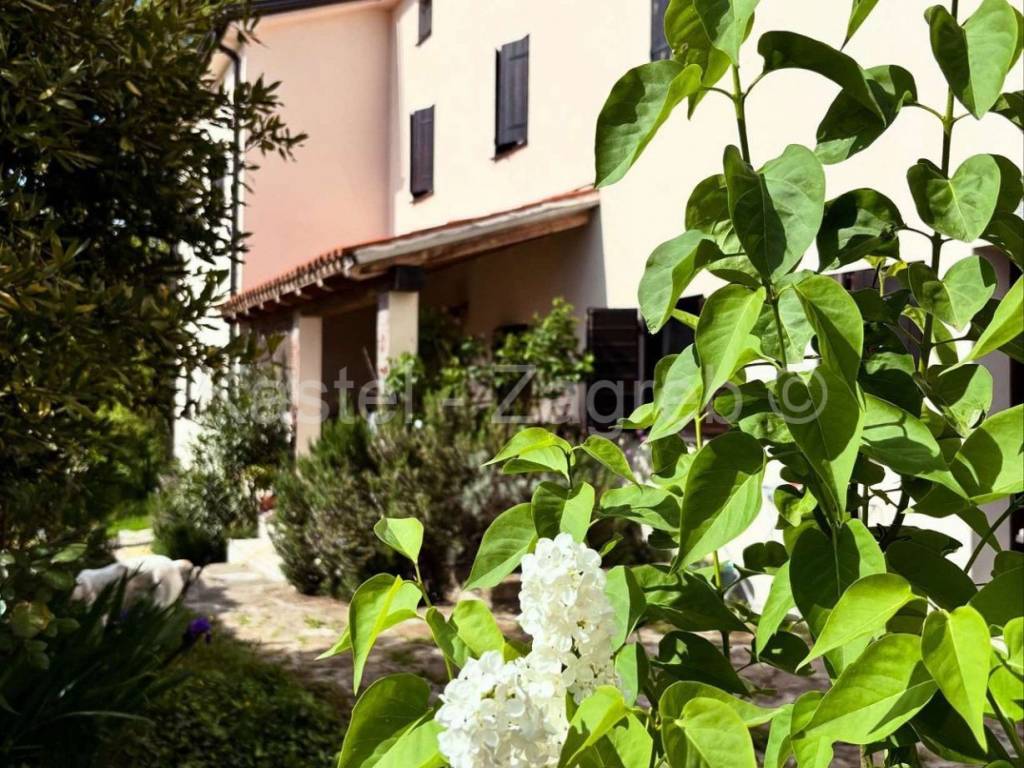 Dvojna kuća, Prodaja, Grožnjan, Grožnjan