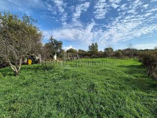 Samostojeća kuća, Prodaja, Zadar, Zadar