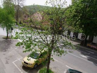 Obiteljska kuća, Prodaja, Otočac, Otočac