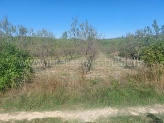 Poljoprivredno zemljište, Prodaja, Skradin, Dubravice