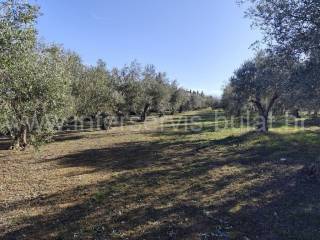 Poljoprivredno zemljište, Prodaja, Skradin, Dubravice