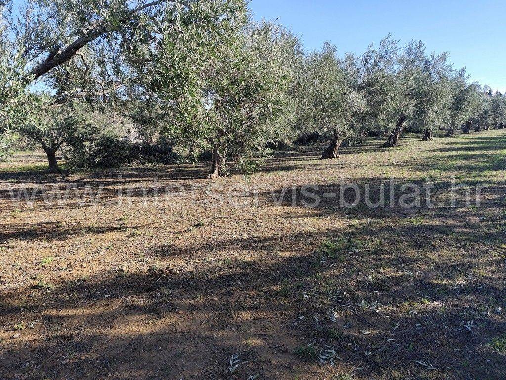 Poljoprivredno zemljište, Prodaja, Skradin, Dubravice